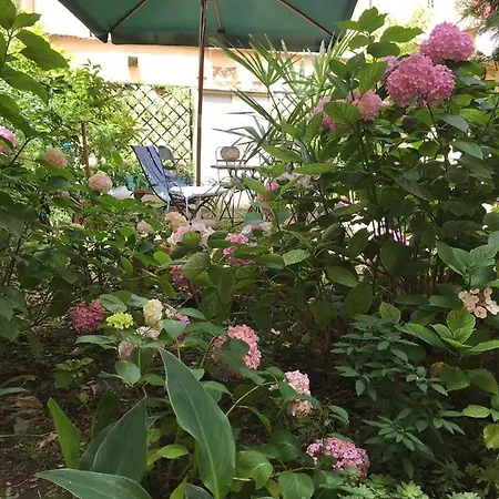 アパート Cynthia's Garden - With Private Garden In Santa Croce